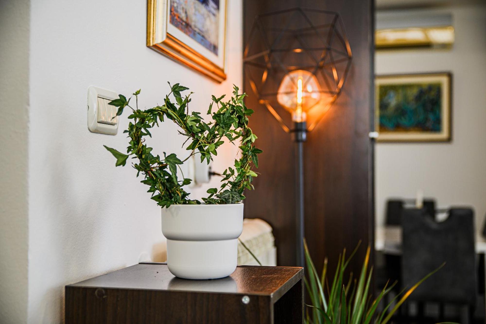 Apartments 888 بوويتش الغرفة الصورة